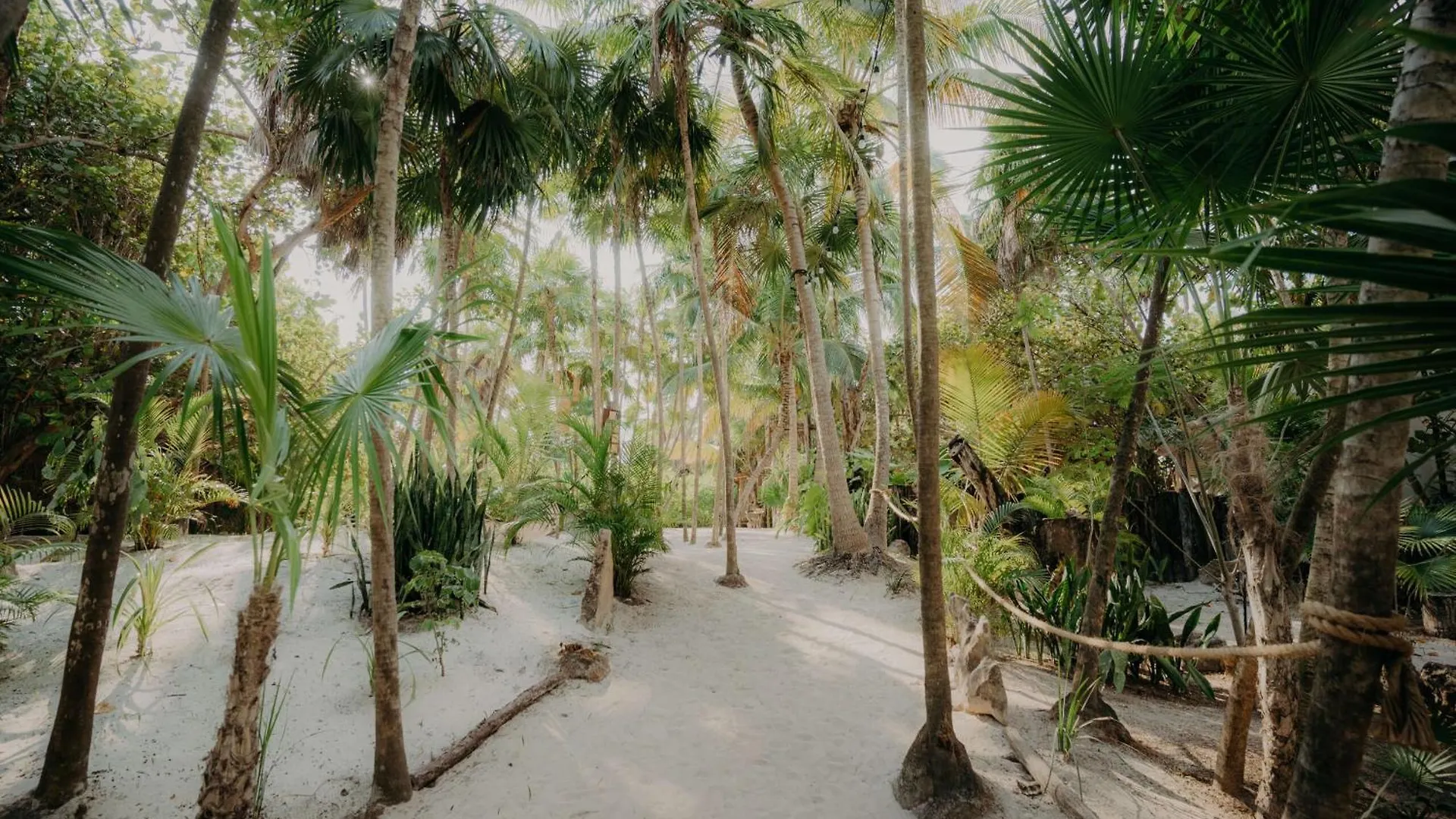 Poolside Bliss With Private Terrace & Jacuzzi Apartment Tulum Mexico