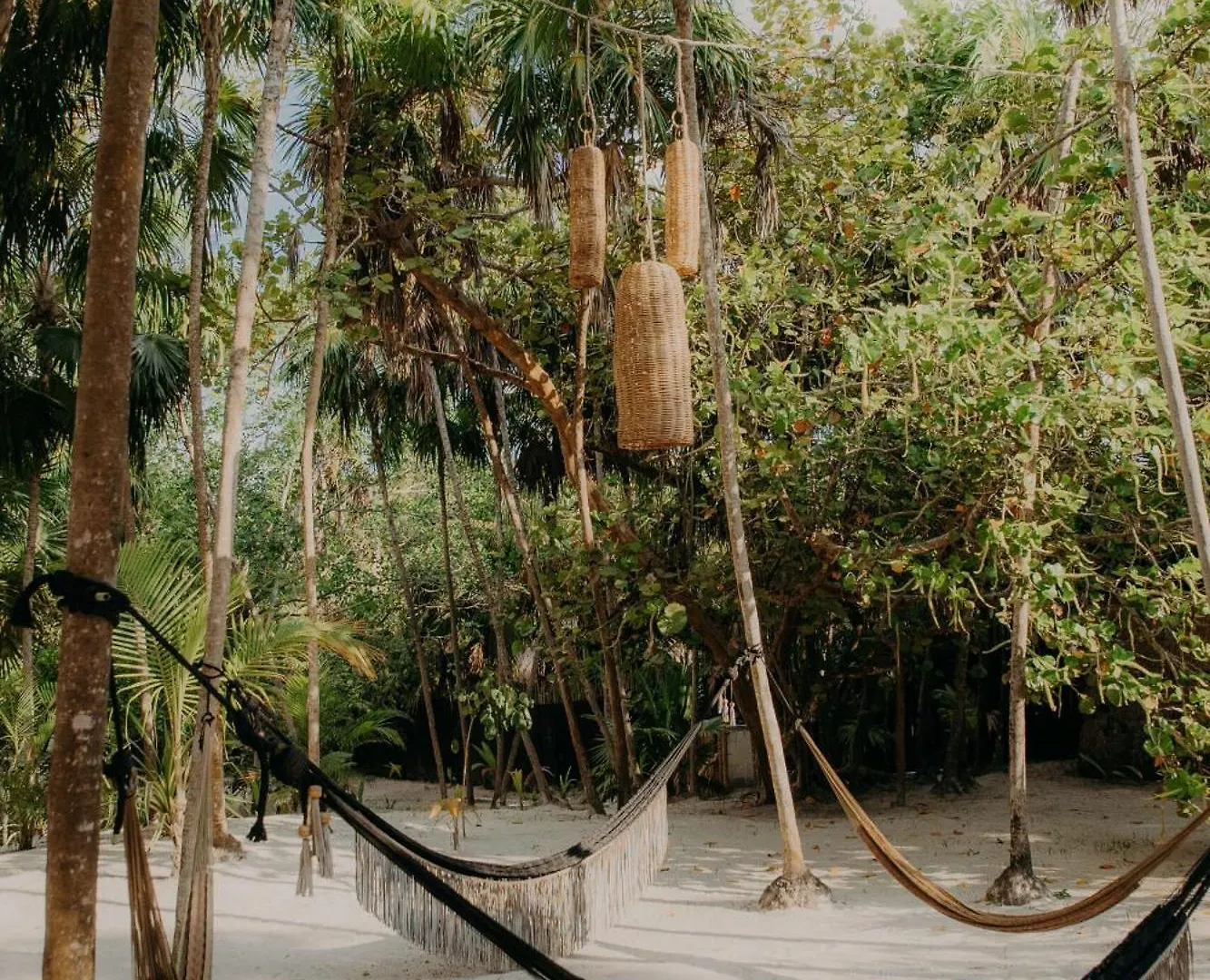Poolside Bliss With Private Terrace & Jacuzzi Apartment Tulum Mexico